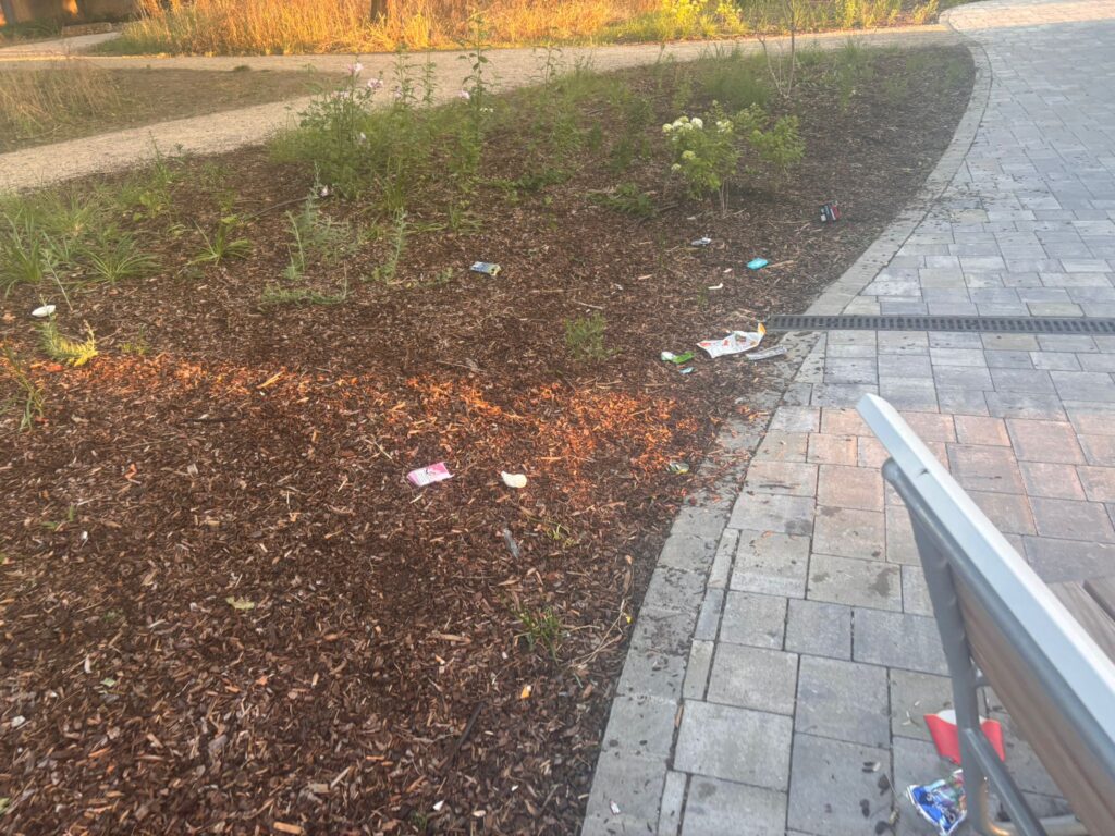 Bild aus dem Stadtpark 2025-06-24 um 21.02.20