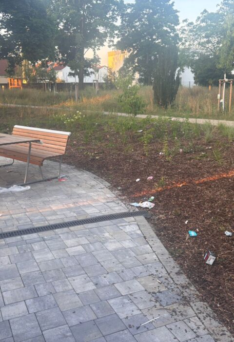 Bild aus dem Stadtpark 2025-06-24 um 21.02.20