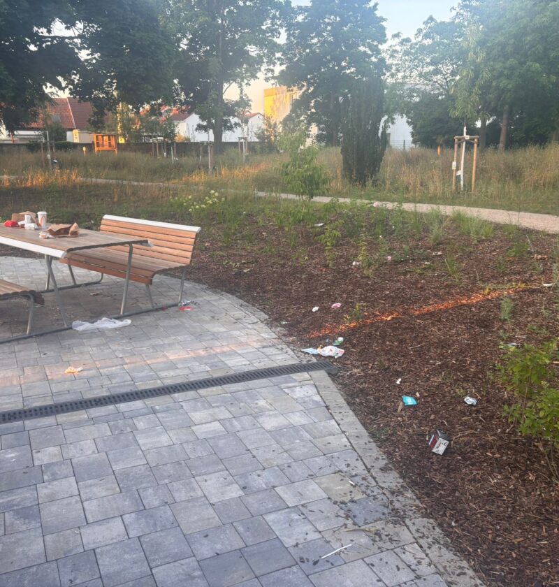 Bild aus dem Stadtpark 2025-06-24 um 21.02.20